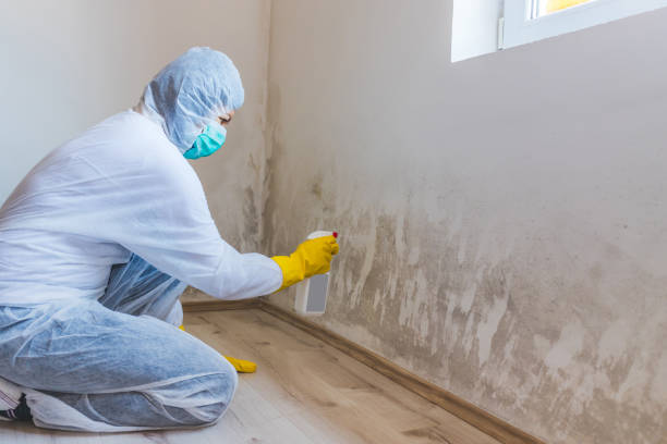 Licensed Bathroom Mold Removal service in Far Hills, NJ - WQB Mold Removal