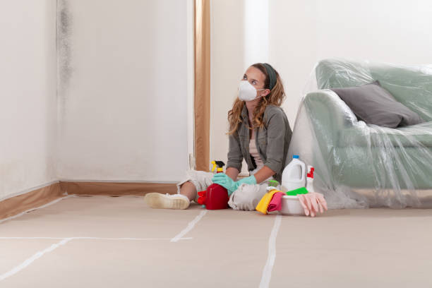 Reliable Bathroom Mold Removal contractor in Far Hills, NJ by WQB Mold Removal